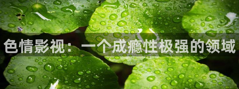 探花免费看：色情影视：一个成瘾性极强的领域