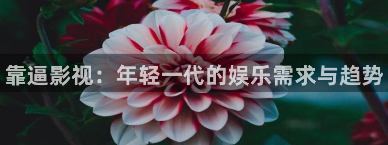 探花视频免费在线观看：靠逼影视：年轻一代的娱乐需求与趋势