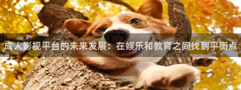 七天探花视频：成人影视平台的未来发展：在娱乐和教育之间找到平衡点