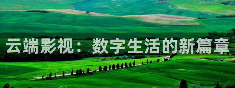 探花视频免费观看网址：云端影视：数字生活的新篇章