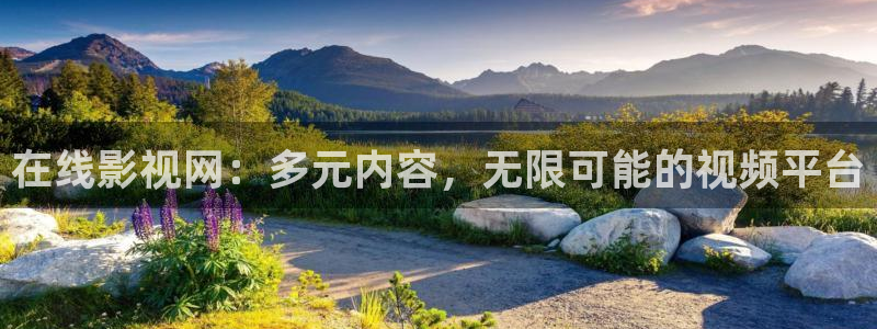 小宝探花视频免费：在线影视网：多元内容，无限可能的视频平台