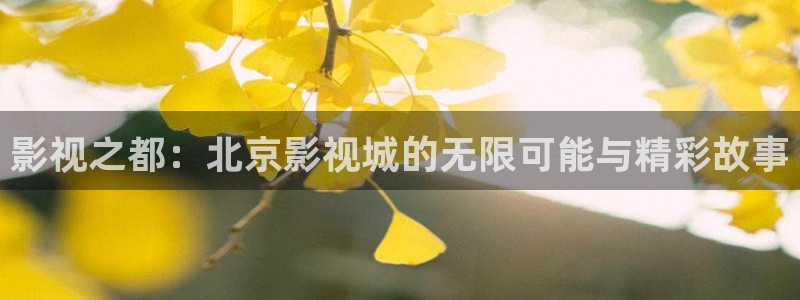 探花视频免费观看网址：影视之都：北京影视城的无限可能与精彩故事