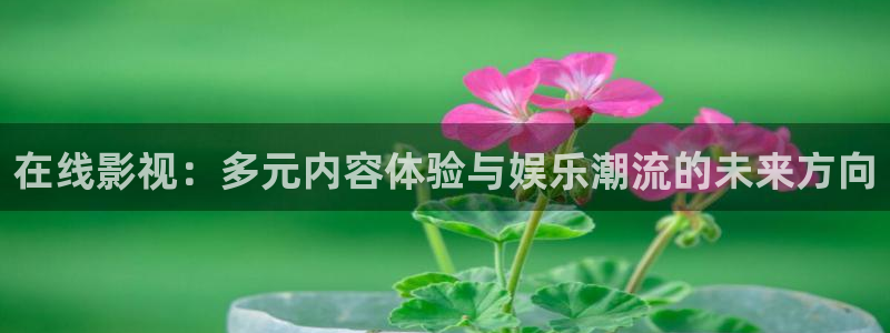 国产视频探花：在线影视：多元内容体验与娱乐潮流的未来方向