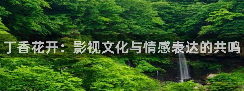 探花网站在线观看：丁香花开：影视文化与情感表达的共鸣