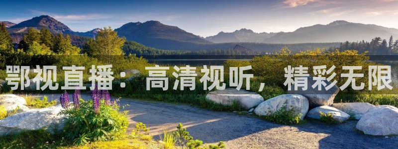 探花系列视频在线观看：鄂视直播：高清视听，精彩无限