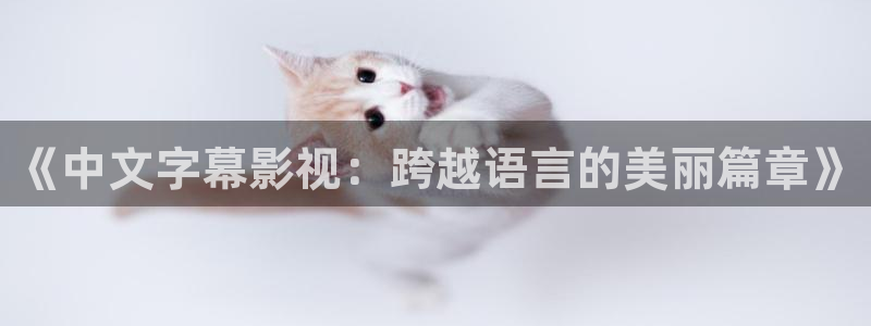 探花观看：《中文字幕影视：跨越语言的美丽篇章》