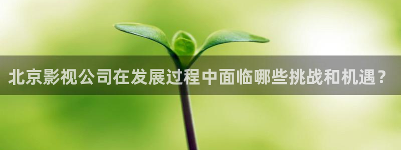探花视频高清免费观看：北京影视公司在发展过程中面临哪些挑战和机遇？