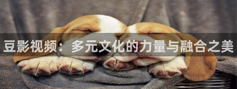 国产探花在线观看视频一区：豆影视频：多元文化的力量与融合之美