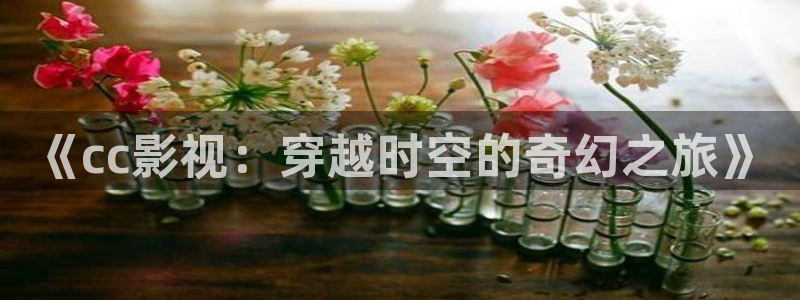 探花系列视频在线观看：《cc影视：穿越时空的奇幻之旅》