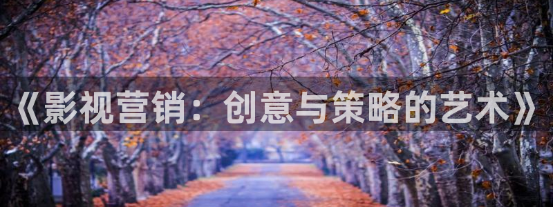 精品探花在线：《影视营销：创意与策略的艺术》