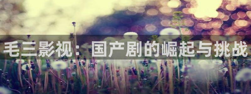 探花高清：毛三影视：国产剧的崛起与挑战